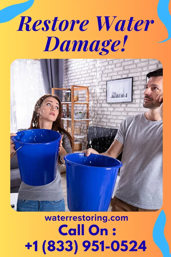 water restoration Eco Water Cleanup Team Southmont