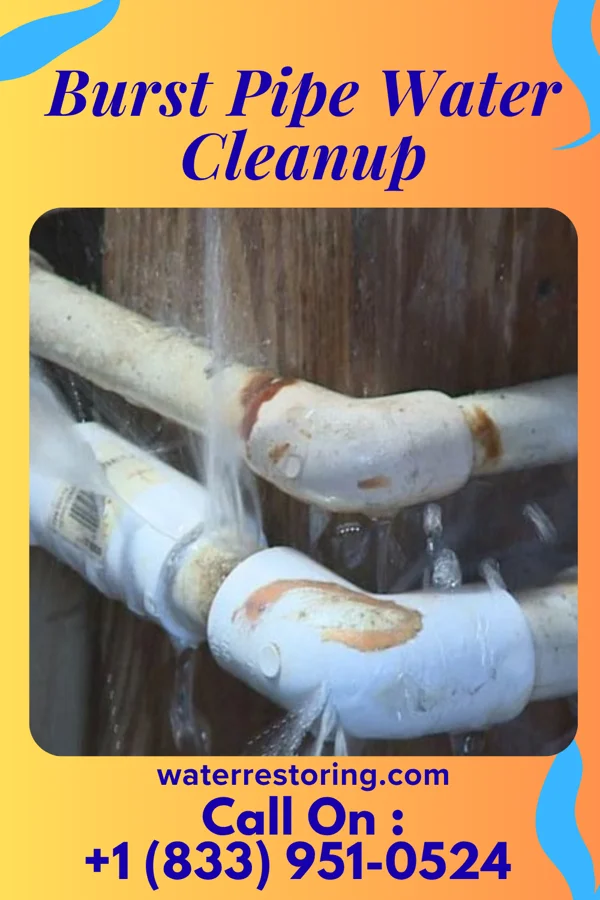 Burst Pipe Water Cleanup in Southmont, PA