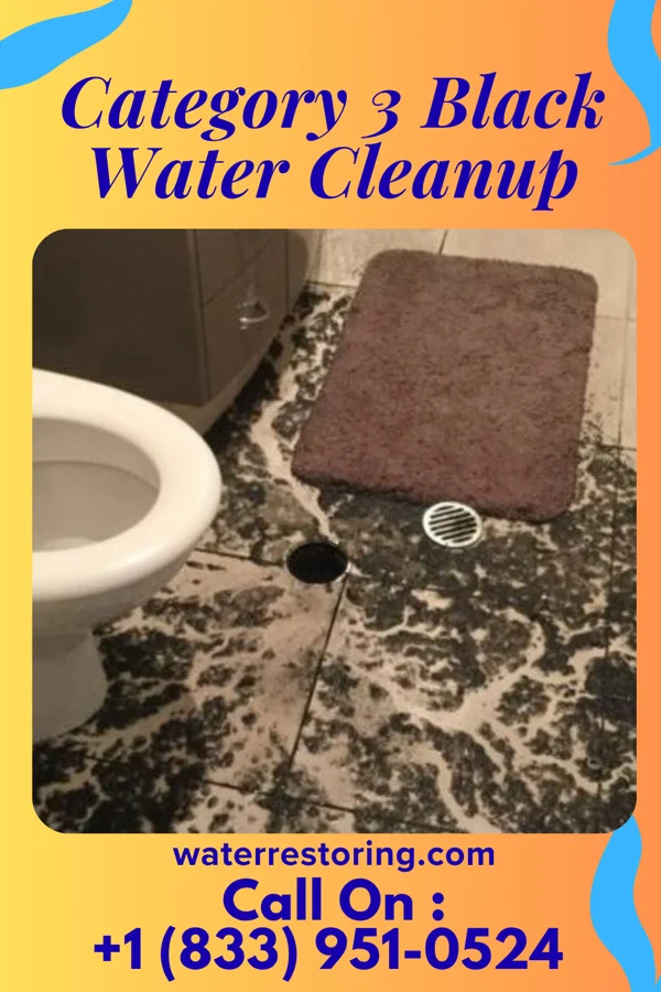 Category 3 Black Water Cleanup in Southmont, PA
