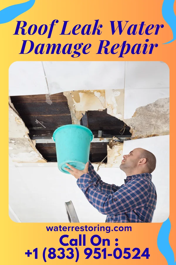 Roof Leak Water Damage Repair in Southmont, PA