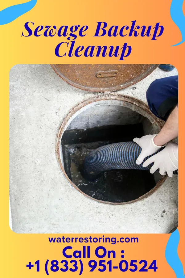 Sewage Backup Cleanup in Southmont, PA