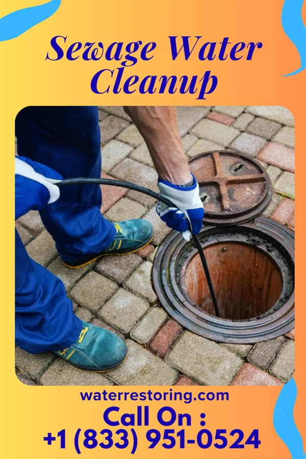 Sewage Water Cleanup in Southmont, PA